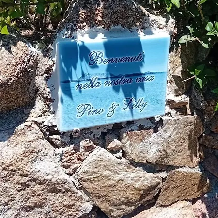 Pino & Lilly سان تيودورو
